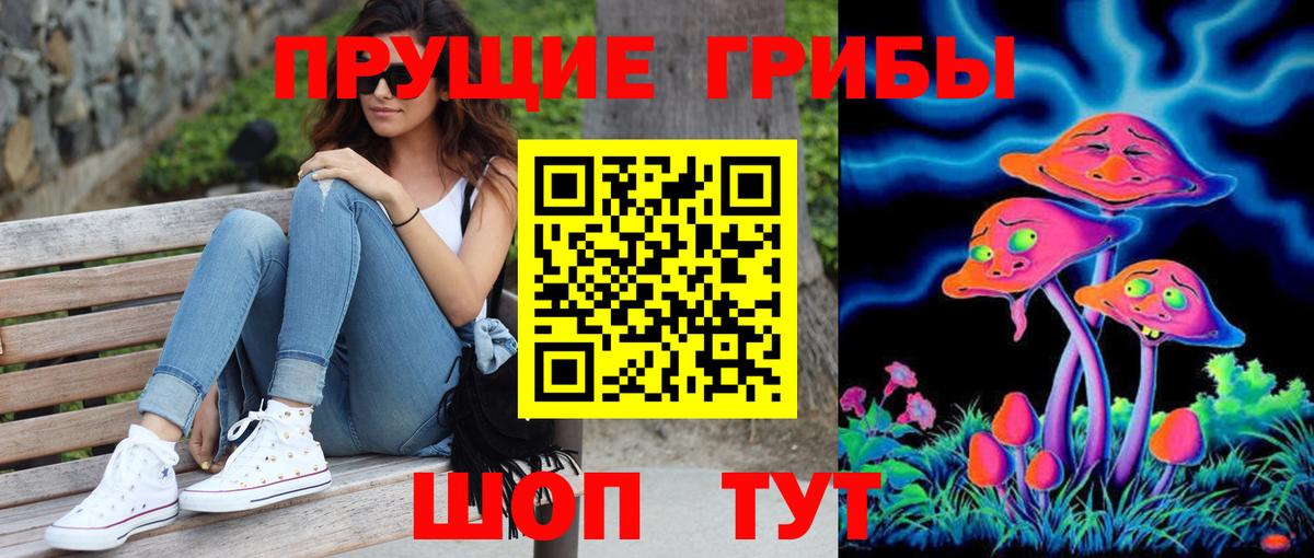 Псилоцибиновые грибы Psilocybine cubensis Свободный