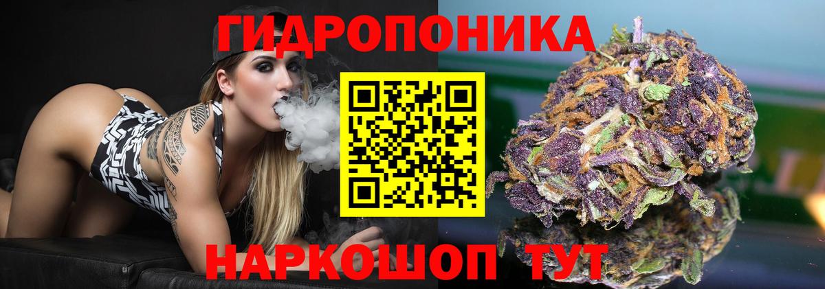 Бошки марихуана VHQ  Бошки марихуана марихуана  Бошки Шишки Bruce Banner  Свободный  Вход с VPN  Бошки марихуана THC 21% 