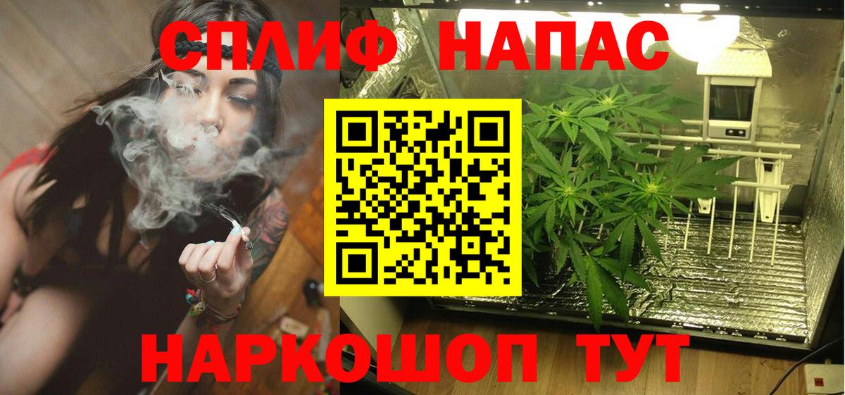 Бошки марихуана ГИДРОПОН Свободный